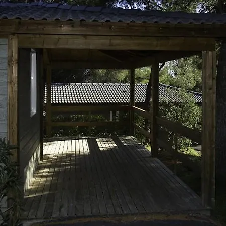 Chalet T3 6 People Les Pescalunes Ideally Located In The Heart Of The Pine Forest Agde