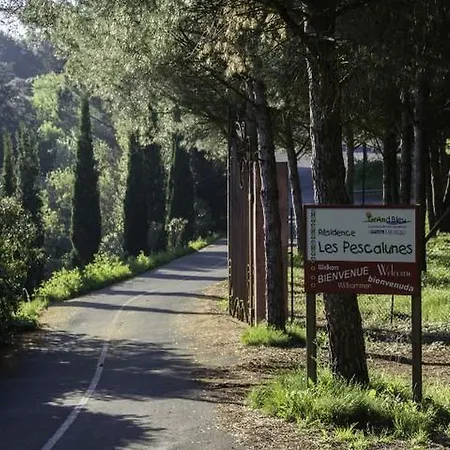 Chalet T3 6 People Les Pescalunes Ideally Located In The Heart Of The Pine Forest